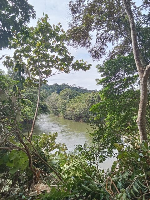 Aliran Sungai Lebusan